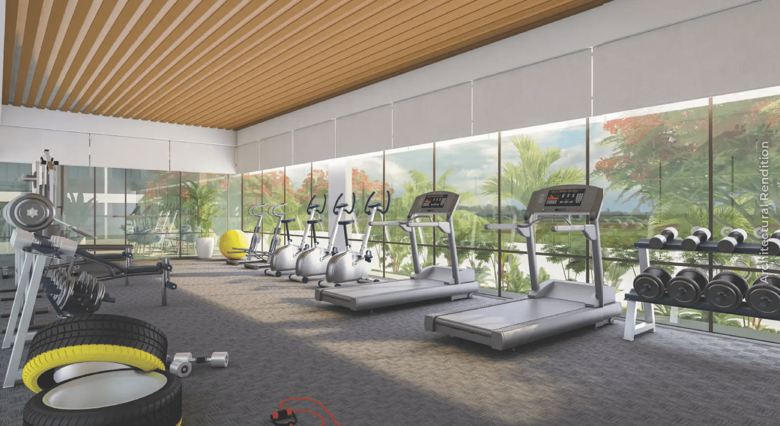 Fully-equipped Gymnasium